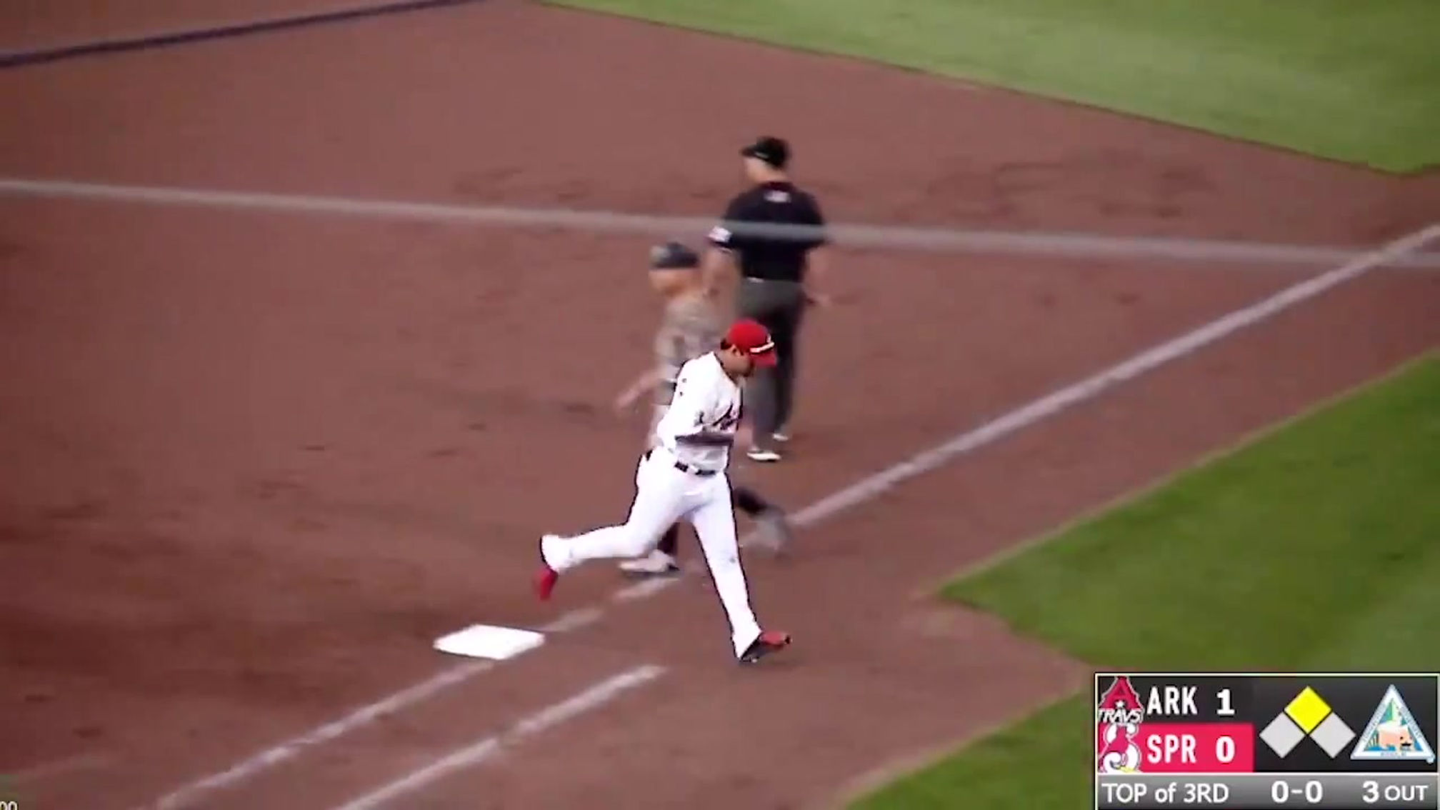 2019 Highlights MiLB